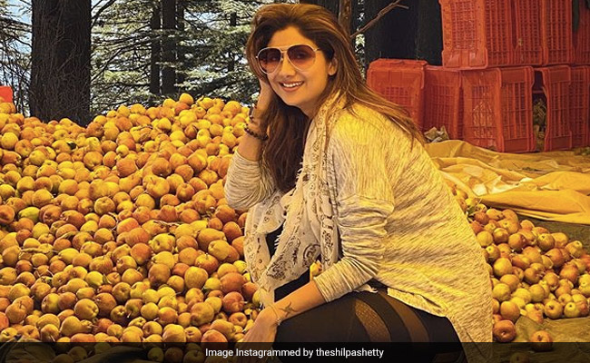 शिल्पा शेट्टी सेब के ढ़ेर के पास फोटो खिंचवाती आईं नजर, बोलीं- मैं और मेरे सब्र का फल...