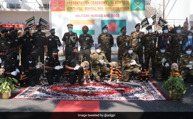 Indian Army Gifts 20 Trained Military Horses, 10 Mine-Detection Dogs To Bangladesh