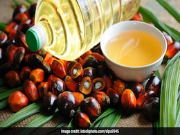 पाम ऑयल पर लगने वाले टैक्स को बढ़ा सकती है सरकार, किसानों को राहत की उम्मीद पाम ऑयल पर लगने वाले टैक्स को बढ़ा सकती है सरकार, किसानों को राहत की उम्मीद