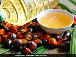 Is Palm Oil Good For Health? Know The Pros and Cons