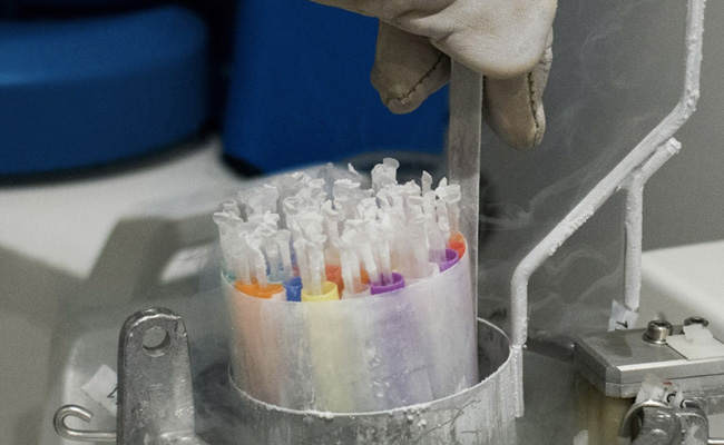 Moderna Vs Pfizer: When Will The Vaccines Be Ready?