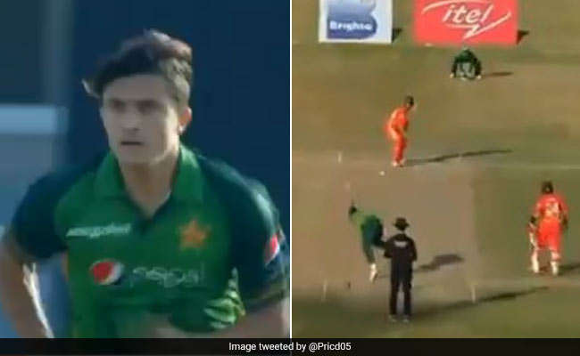 PAK vs ZIM: जिम्बाब्वे के सीन विलियम्स ने जमाया शतक, PAK गेंदबाज की गेंद पर लगाया ऐसा खूबसूरत शॉट..देखें Video
