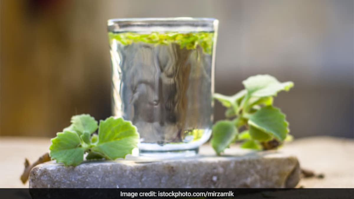 TulsiAjwain Drink मोटापा कम करने के लिए तुलसी और अजवाइन के पानी का
