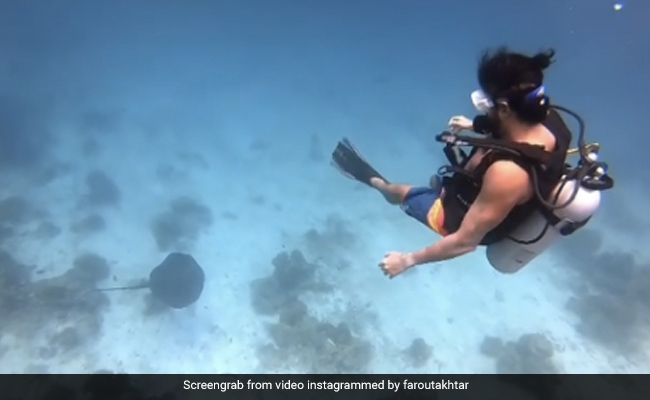 फरहान अख्तर ने मालदीव में 'स्कूबा डाइविंग' में आजमाया हाथ, वायरल हुआ Video