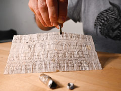 Carrier Pigeon's Century-Old Message Found In French Field