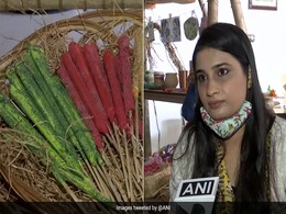 दीवाली में इको-फ्रेंडली पटाखे, बीज बम फोड़ेंगे और फिर उगेंगे फल-फूल दीवाली में इको-फ्रेंडली पटाखे, बीज बम फोड़ेंगे और फिर उगेंगे फल-फूल