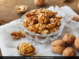 US Man Says A Squirrel Hid 42 Gallons Of Walnuts Under The Hood Of His Truck