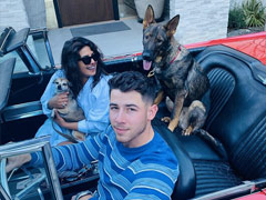 Reunited, Priyanka And Nick Went Cruising Around Town. See Pic