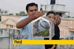 पिंजरे में बंद पंछी को खुला आसमान दिलाने का मिशन 'पंख' पिंजरे में बंद पंछी को खुला आसमान दिलाने का मिशन 'पंख'