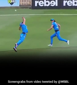 'You've Gotta Be Kidding': Watch This Incredible Catch In Women's BBL