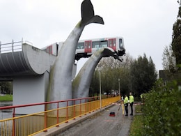 Saved By The Whale: Tram Runs Off Track, Lands On Whale Statue's Tail Saved By The Whale: Tram Runs Off Track, Lands On Whale Statue's Tail