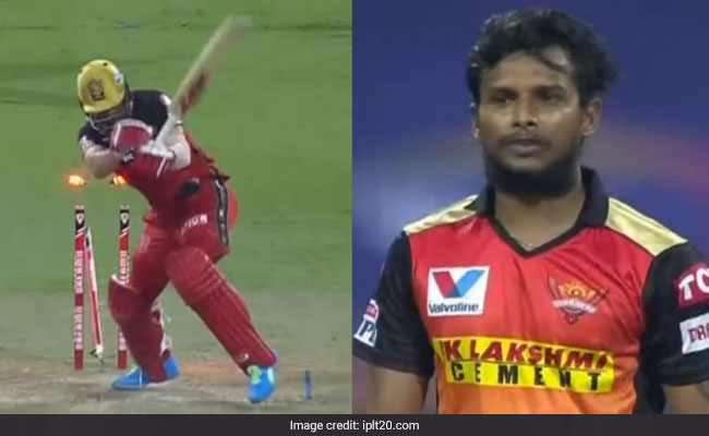 SRH vs RCB Eliminator: यॉर्कर किंग नटराजन के सामने 'मिस्टर 360' भी हुआ पस्त, खतरनाक गेंद पर बिखेर दी गिल्लियां..देखें Video