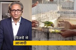 रवीश कुमार का प्राइम टाइम: परिंदों को आजाद कराने की मुहिम रवीश कुमार का प्राइम टाइम: परिंदों को आजाद कराने की मुहिम