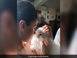 आलिया भट्ट ने अपनी बिल्ली के साथ शेयर किया Photo, अमिताभ बच्चन बोले- मुझे बिल्लियां बिल्कुल भी पसंद नहीं... आलिया भट्ट ने अपनी बिल्ली के साथ शेयर किया Photo, अमिताभ बच्चन बोले- मुझे बिल्लियां बिल्कुल भी पसंद नहीं...