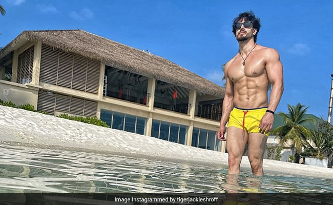 Please Excuse Tiger Shroff's "Yellow Hot Pants" In This Pic From Maldives