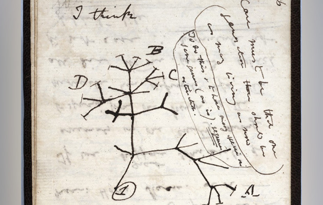 Charles Darwin's Notebooks Reported "Stolen" From Cambridge University
