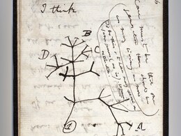 Charles Darwin's Notebooks Reported "Stolen" From Cambridge University Charles Darwin's Notebooks Reported "Stolen" From Cambridge University