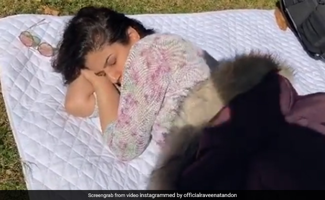 Raveena Tandon काम के बीच आराम से ले रही थीं नींद, तभी आया शख्स और फिर...खूब Viral हो रहा है Video