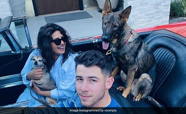 निक जोनास के साथ कार में बैठकर चिल करती नजर आईं प्रियंका चोपड़ा, बोलीं- घर वहां होता है, जहां आपका दिल...