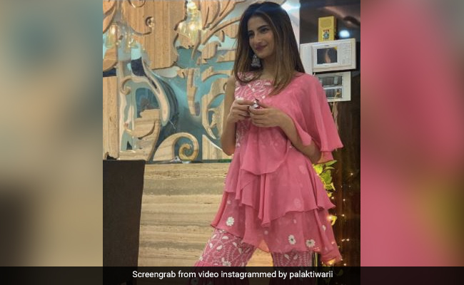 श्वेता तिवारी की बेटी पलक तिवारी ने पिंक आउटफिट में कराया फोटोशूट, Photos में दिखा ग्लैमरस अंदाज