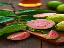 Guava: खाली पेट अमरूद खाना चाहिए या नहीं?  जानिए अमरूद खाने का सही समय और सही तरीका Guava: खाली पेट अमरूद खाना चाहिए या नहीं?  जानिए अमरूद खाने का सही समय और सही तरीका