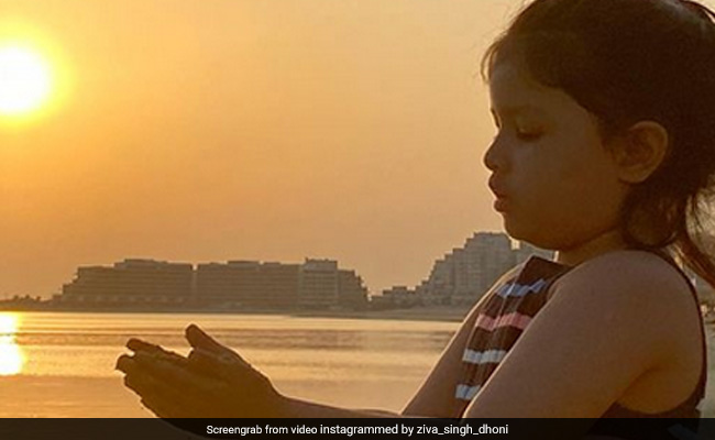 Dhoni परिवार संग छुट्टियां मनाने पहुंचे दुबई तो बीच किनारे पानी से खेलती नजर आई बेटी Ziva- Cute Video हुआ वायरल