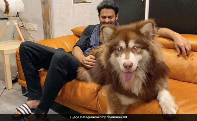 This Pic Of "Darling" Prabhas With Charmme Kaur's 9-Month-Old "Baby Boy" Is Breaking The Internet