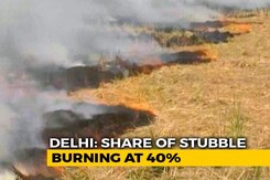 Farm Fires Contributing 40% To Delhi's Pollution, Maximum So Far: Report Farm Fires Contributing 40% To Delhi's Pollution, Maximum So Far: Report