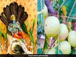 Akshay Navami 2022 Date: अक्षय नवमी को क्यों कहते हैं आंवला नवमी, जानें डेट, शुभ मुहूर्त और पूजा विधि Akshay Navami 2022 Date: अक्षय नवमी को क्यों कहते हैं आंवला नवमी, जानें डेट, शुभ मुहूर्त और पूजा विधि