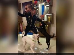 Shikhar Dhawan's Hilarious Dance Moves Leave KL Rahul In Splits Shikhar Dhawan's Hilarious Dance Moves Leave KL Rahul In Splits