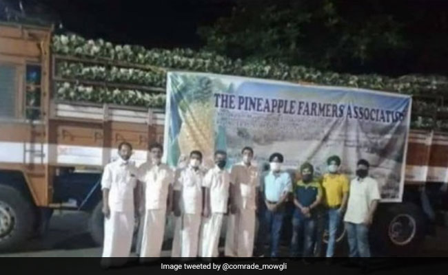 Kerala Farmers Send 16 Tonnes Of Vazhakulam Pineapple To Farmers Protesting In Delhi
