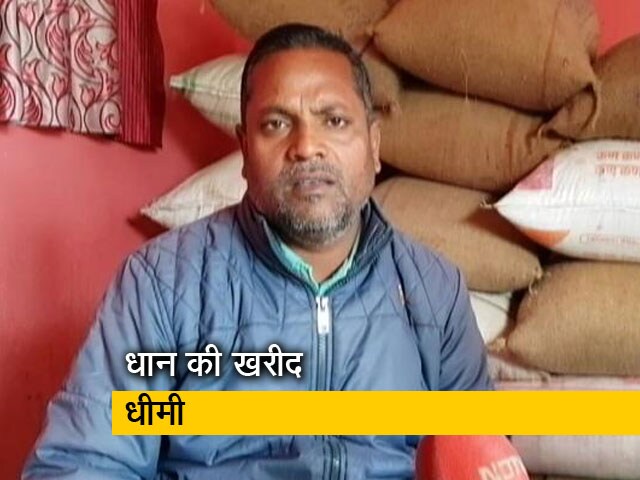 बिहार में धीमी गति से हो रही धान की खरीद