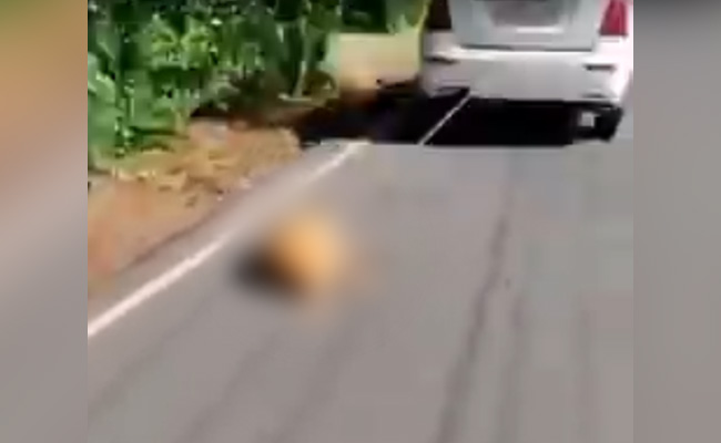 Dog Tied To Car, Dragged On Road In Kerala; Driver Arrested