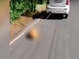 Dog Tied To Car, Dragged On Road In Kerala; Driver Arrested Dog Tied To Car, Dragged On Road In Kerala; Driver Arrested