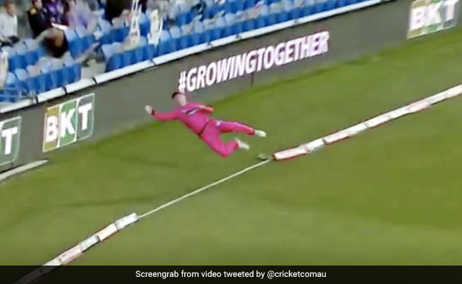 BBL 2020: जा रहा था छक्का, फील्डर ने हवा में उड़कर ऐसे पकड़ी गेंद, तो गेंदबाज ने पकड़ लिया सिर... देखें Video