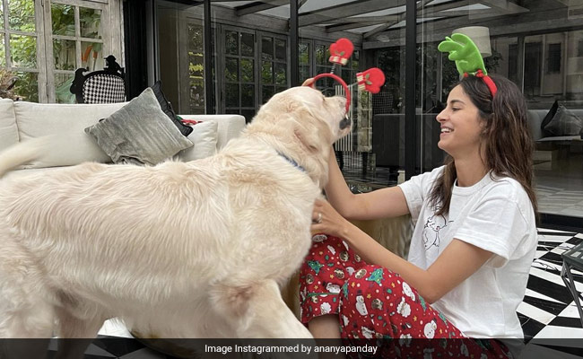 Christmas 2020: Ananya Panday Is Excited About Her "Favourite Time Of The Year." See Pics