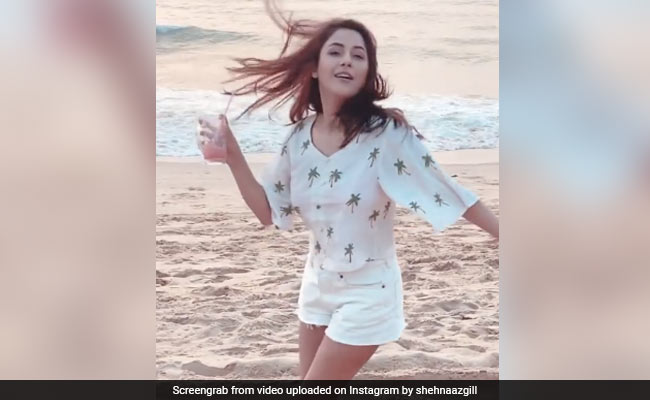 गोवा पहुंची Shehnaaz Gill ने Beach पर कराया Photoshoot, लहरों के बीच यूं पोज देती आईं नजर- देखें  Video