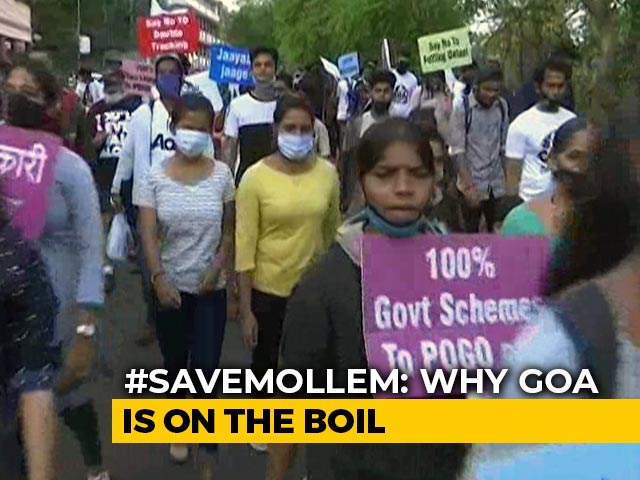 #SaveMollem: Why There Is Public Anger In Goa Against Increasing Coal Imports