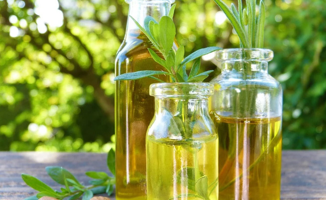 Skin care: सोते समय लगाएं ये तेल, दाग, धब्बे, झुर्रियां और पिंपल हो जाएंगे एकदम गायब, चेहरा चमचमाने लगेगा