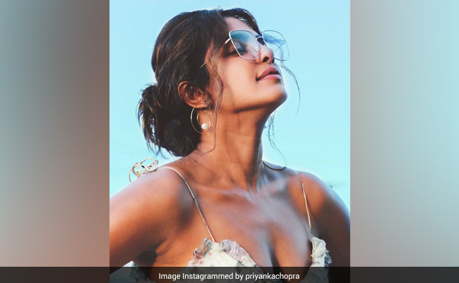 Guess The Celeb Who Featured On Priyanka Chopra's Elf On The Shelf Challenge