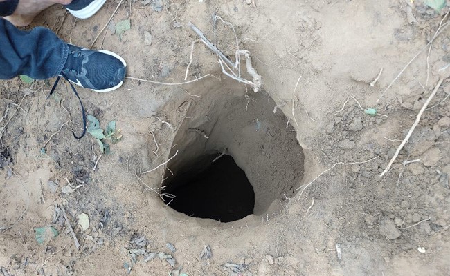 Border Force Walked 200 Metres Inside Pak To Find Tunnel: Official