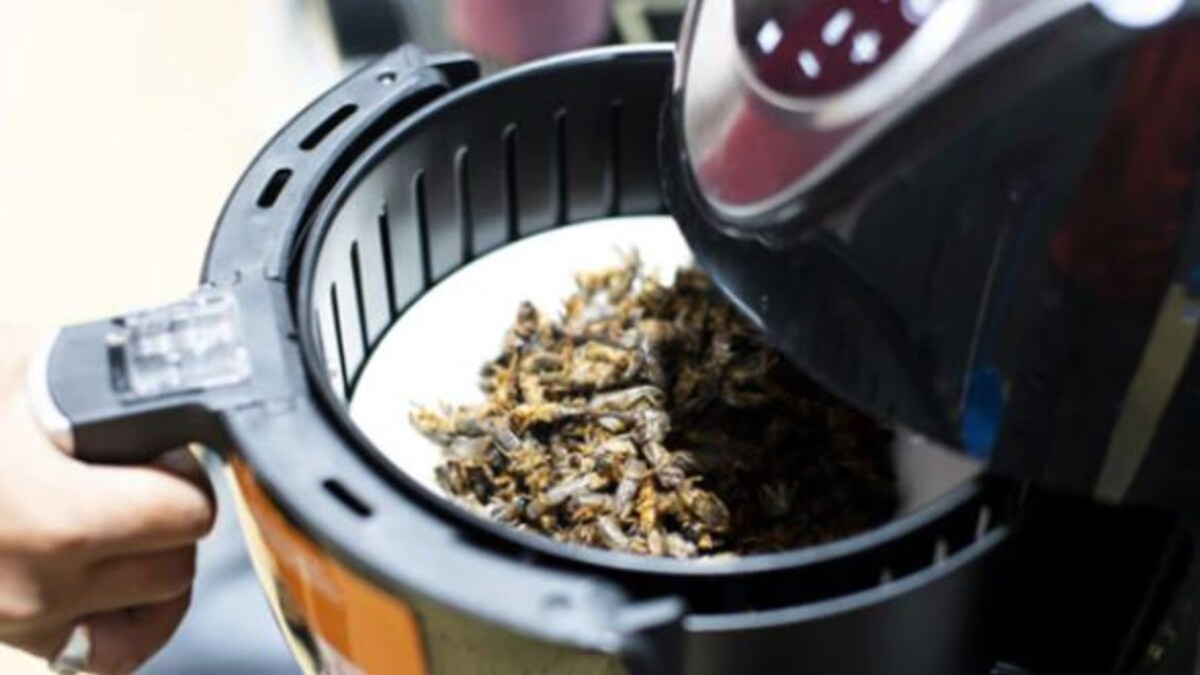 How To Clean Air Fryer 5 Easy Tips NDTV Food