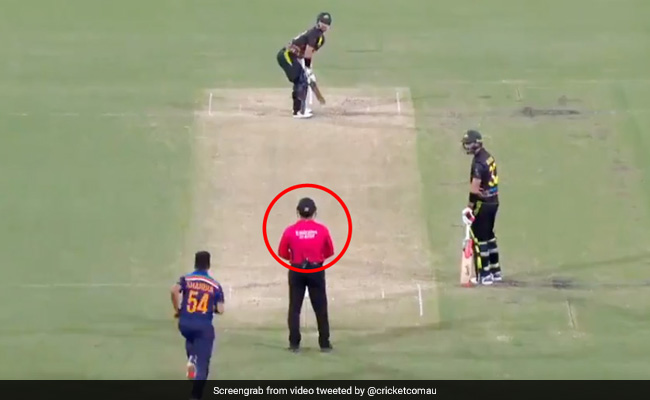 Ind Vs Aus: मैच में अंपायर के साथ हुआ ऐसा 'हादसा', डर के मारे पहन लिया हेलमेट - देखें Video