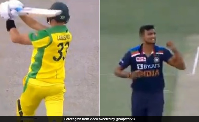 Aus Vs IND: नटराजन ने वनडे में मौका मिलते ही दिखाया कमाल, घातक गेंद पर लाबुशाने को किया बोल्ड Video