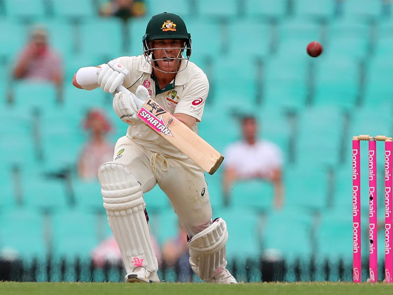 Australia vs India: David Warner, Will Pucovski Included In Australia Squad For Last Two Tests, Joe Burns Dropped