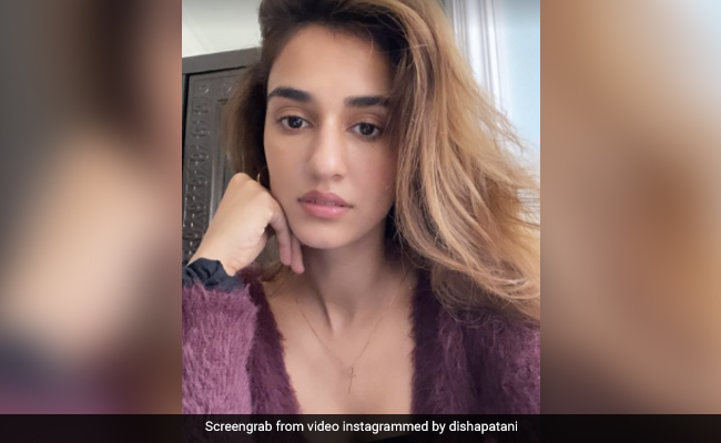 Disha Patani's 'Cheat Meal' May Trigger Intense Sugar Cravings