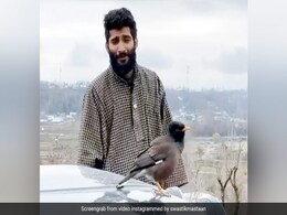 शख्स ने गाया इतना सुरीला गाना, पास आकर बैठ गई चिड़िया, फिर सुनकर निकालीं ऐसी आवाजें... देखें Video शख्स ने गाया इतना सुरीला गाना, पास आकर बैठ गई चिड़िया, फिर सुनकर निकालीं ऐसी आवाजें... देखें Video