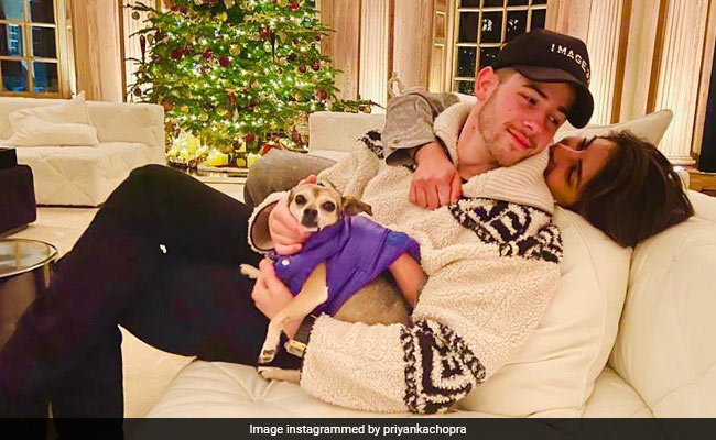 Priyanka Chopra Is In Christmas Mood And This Yummy Gingerbread House Is Proof