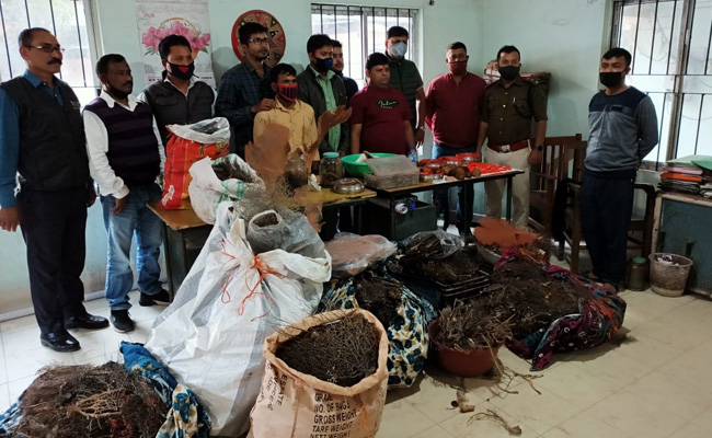 50 Kg Sea Fans, Other Wildlife Parts Seized In Assam, 3 Arrested