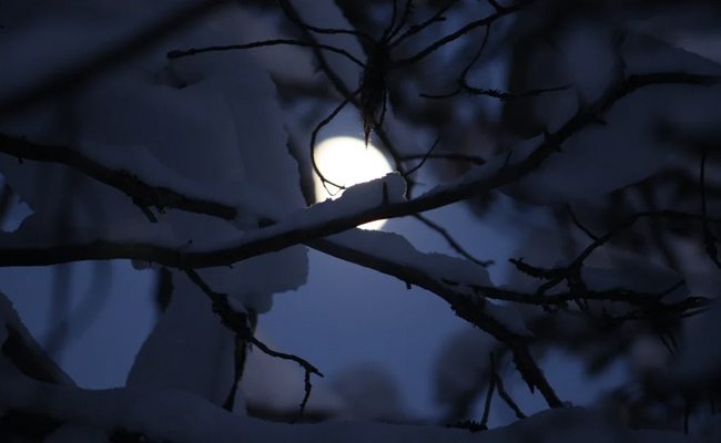 Cold Moon 2020: Know All About Cold Moon, The Last Full Moon Of The Year